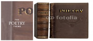 THE POETRY THEME 2